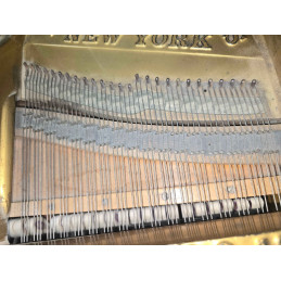 Fortepian firmy Steinway & Sons mod. M. Nr seryjny 176524